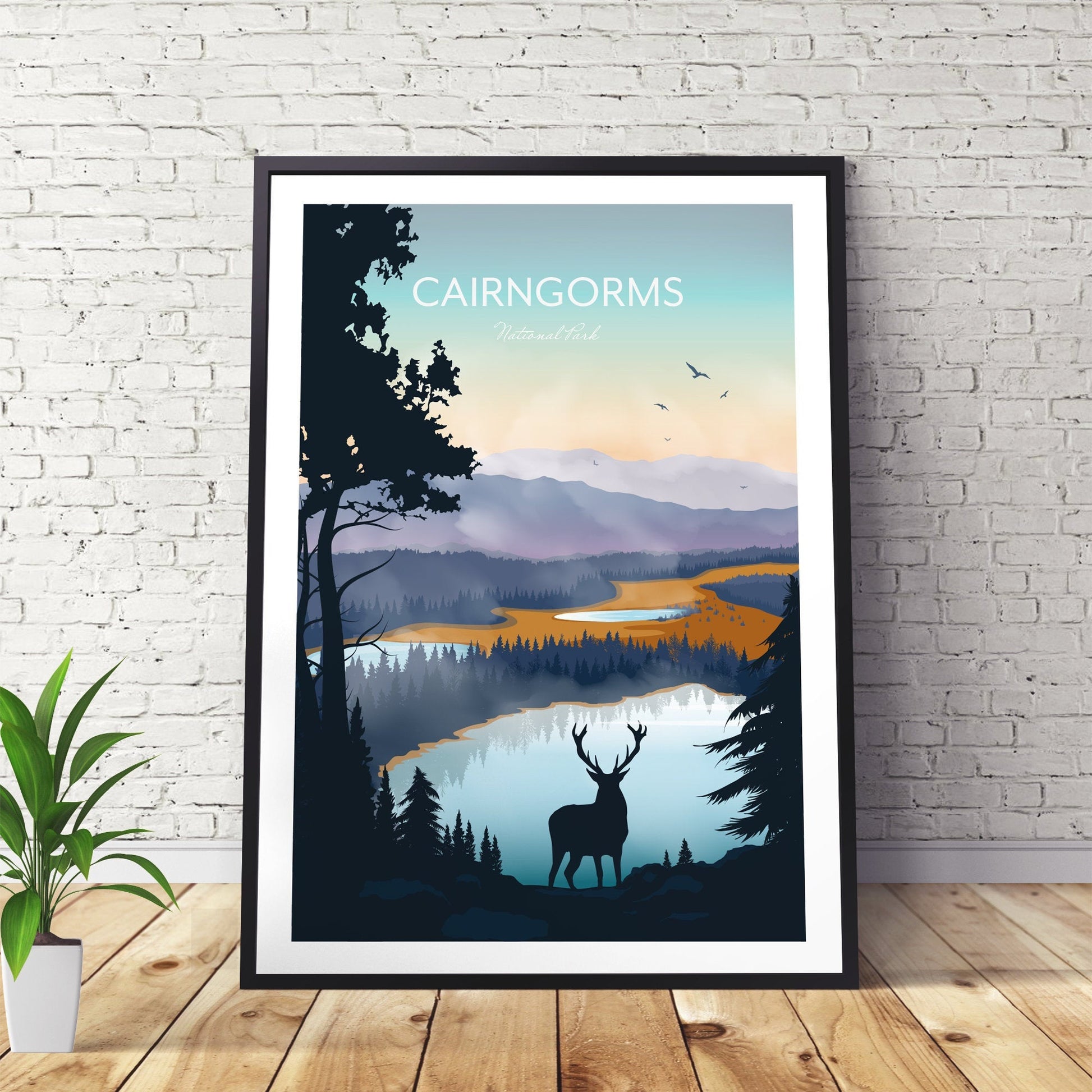 Cairngorms Art Print